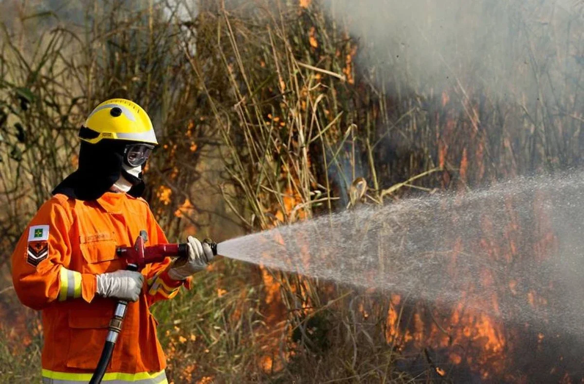 DF Declara Emergência Ambiental e Reforça Batalha Contra Queimadas
