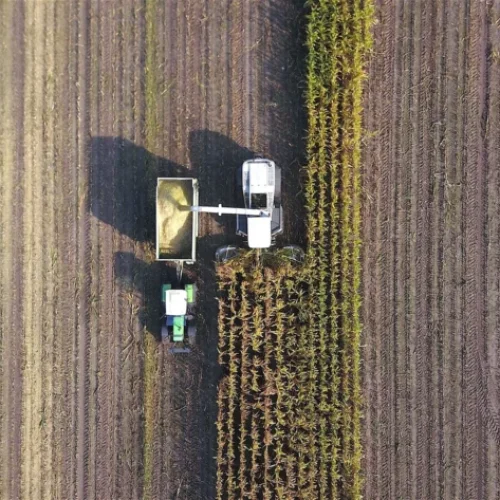 Boa Safra (SOJA3) registra prejuízo no 4º trimestre e CEO admite resultado “decepcionante”