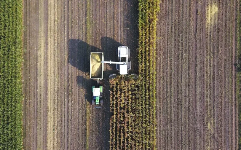 Boa Safra (SOJA3) registra prejuízo no 4º trimestre e CEO admite resultado “decepcionante”