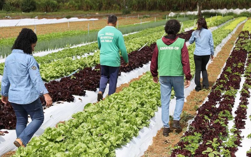 DF amplia em 24% o atendimento a produtores rurais com assistência técnica desde 2019