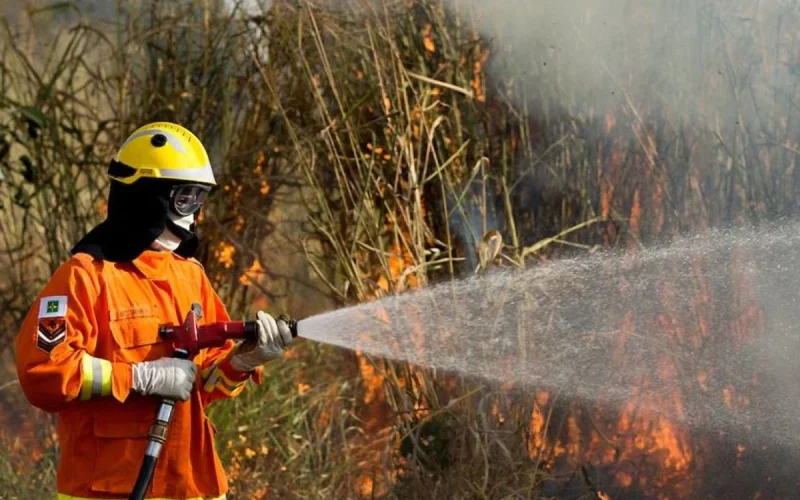DF Declara Emergência Ambiental e Reforça Batalha Contra Queimadas